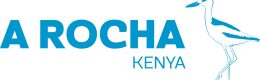 https://inet.africa/wp-content/uploads/2023/11/Arocha-logo-2-1-260x80.jpeg